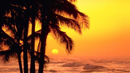 Golden Sunset Over Tranquil Waves wallpaper