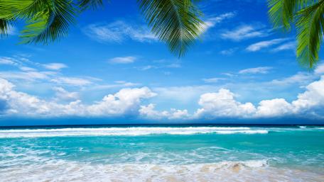 Tranquil Tropical Paradise wallpaper