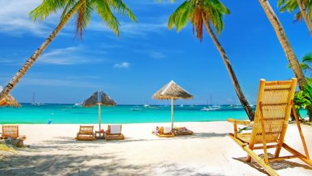 Tropical Paradise at the Beach wallpaper