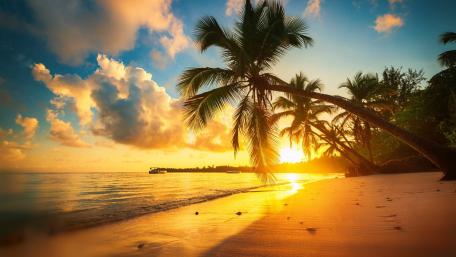 Tropical Sunset Paradise wallpaper