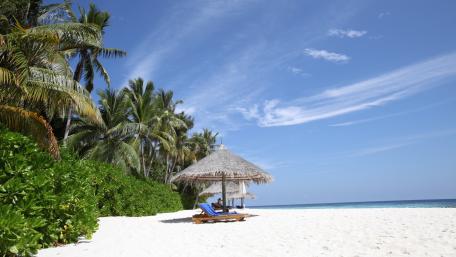 Tropical Paradise Escape for Summer Relaxation wallpaper