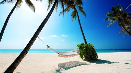 Tranquil Tropical Beach Escape wallpaper