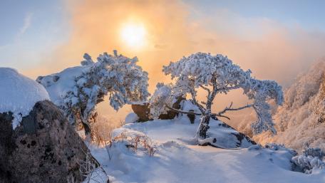 Winter Serenity Awaits in a Snowy Landscape wallpaper