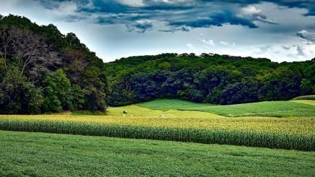 Lush Green Fields Under a Dramatic Sky wallpaper