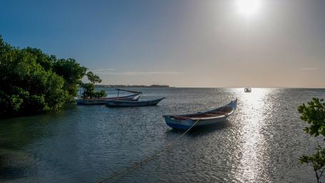 Tranquil Boats on a Serene Horizon wallpaper