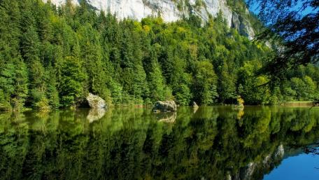 Serene Lake Reflection in Nature's Embrace wallpaper