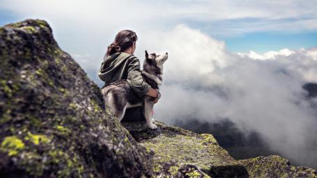 Girl with a Siberian Husky wallpaper
