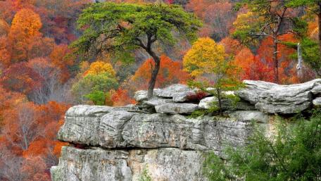 Vibrant Autumn Colors on Rocky Cliffside wallpaper