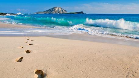 Tranquil Beach Footsteps Leading to Serenity wallpaper