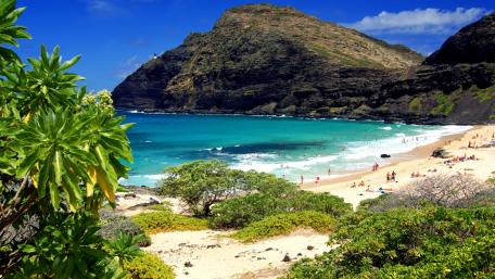 Makapu'u Beach wallpaper