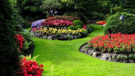 Vibrant Floral Paradise in a Peaceful Garden Retreat wallpaper