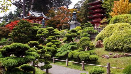 Tranquil Beauty of Japanese Garden wallpaper