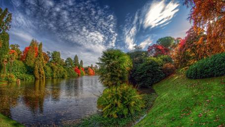 Autumn Serenity in Nature's Embrace wallpaper