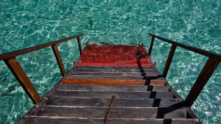 Tranquil Steps into Crystal Clear Waters wallpaper