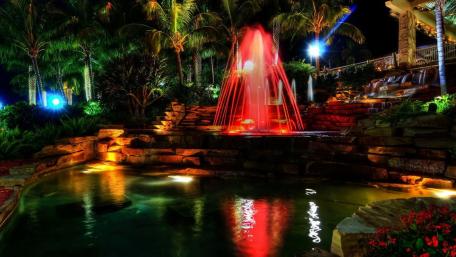 Serene Night Garden Fountain Scene wallpaper