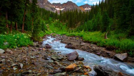 Tranquil Mountain Creek Scene wallpaper