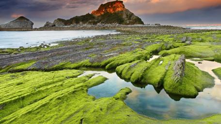Lush Green Landscape at Dusk wallpaper