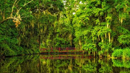 Tranquil Green Bridge Over Serene Lake Water wallpaper