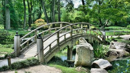 Serene Wooden Bridge in a Lush Garden wallpaper