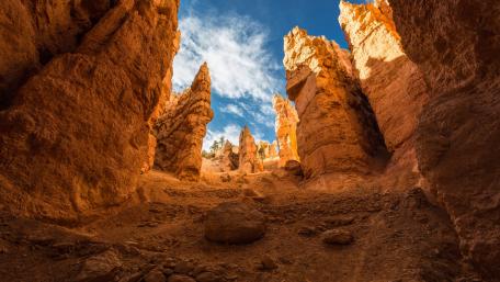 Majestic Canyon View in Vibrant Colors wallpaper