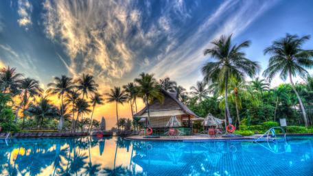 Tropical Oasis at Dusk wallpaper
