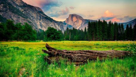 Majestic Mountains and Serene Meadows Await You wallpaper