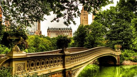 Serene Bridge in a Lush City Park wallpaper