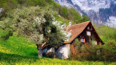 Serenity of Nature in a Quaint Cottage Landscape wallpaper