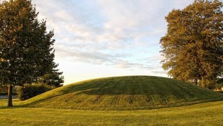 Serene Hillside Under a Golden Sky wallpaper