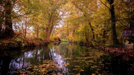 Tranquil Autumn Serenity in Nature wallpaper
