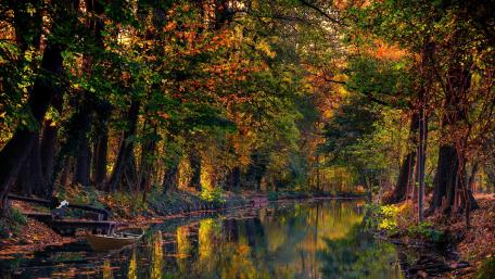 Autumn Serenity in Nature's Embrace wallpaper