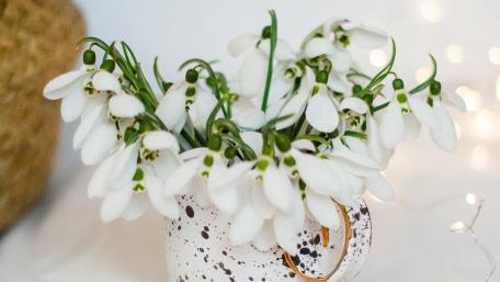 Delicate Snowdrops in a Charming Mug wallpaper