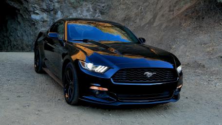Sleek Black Mustang in Nature's Embrace wallpaper