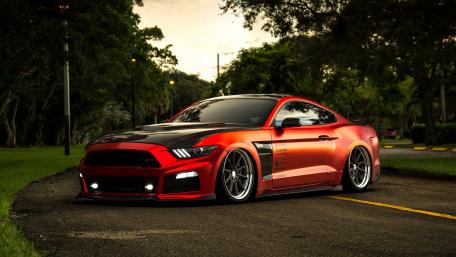 Sleek Ford Mustang GT on the Open Road wallpaper