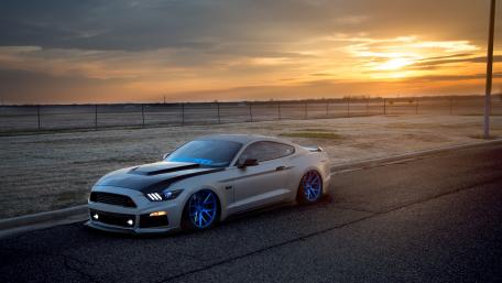 Sleek Mustang Under Sunset Glow wallpaper