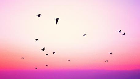 sky wallpaper