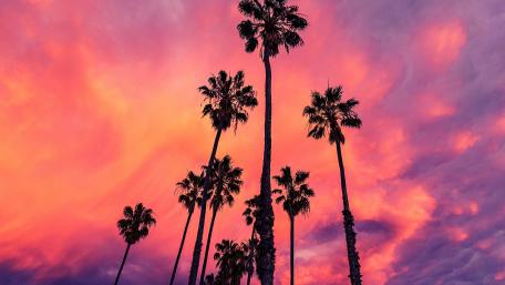 hawaii wallpaper