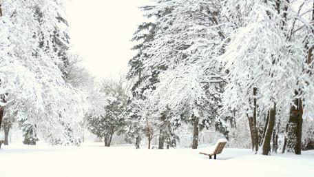 snow wallpaper