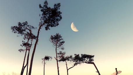 Half moon wallpaper