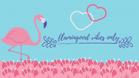 flamingo wallpaper