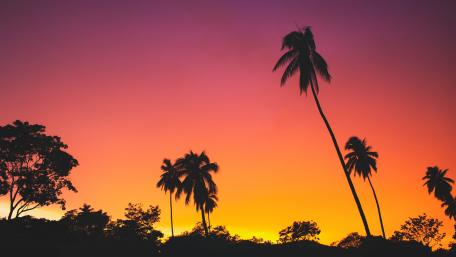 Tropical Sunset Serenity wallpaper