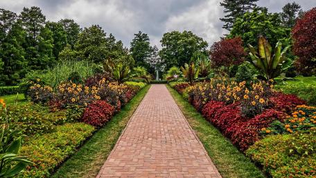 Serene Garden Pathway Under Dramatic Skies wallpaper