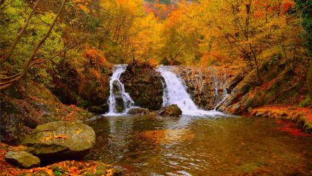 Autumn Serenity by a Tranquil Waterfall wallpaper