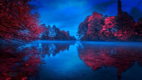 Enchanted Blue Nightscape wallpaper