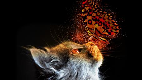 Whimsical Encounter in Digital Fantasy World wallpaper