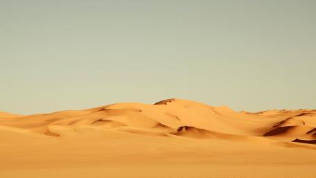Desert Harmony in Golden Sands wallpaper
