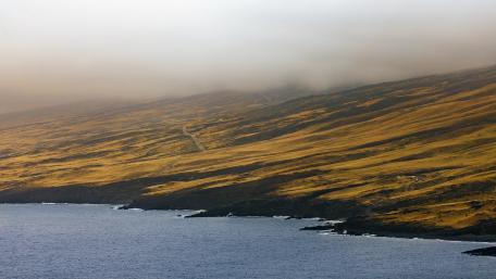 Golden Hills by the Ocean Shore wallpaper