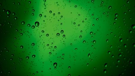 Emerald Rain Drops on a Green Canvas wallpaper