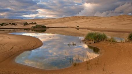 Serene Desert Pond Reflection wallpaper