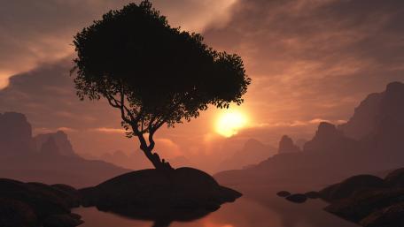 Majestic Solitude at Sunset wallpaper